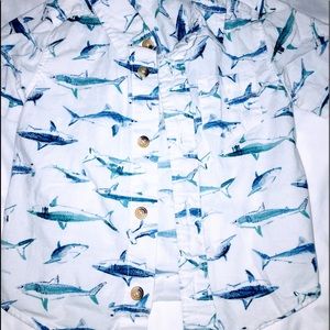 12-18 Months Boy’s Shirt